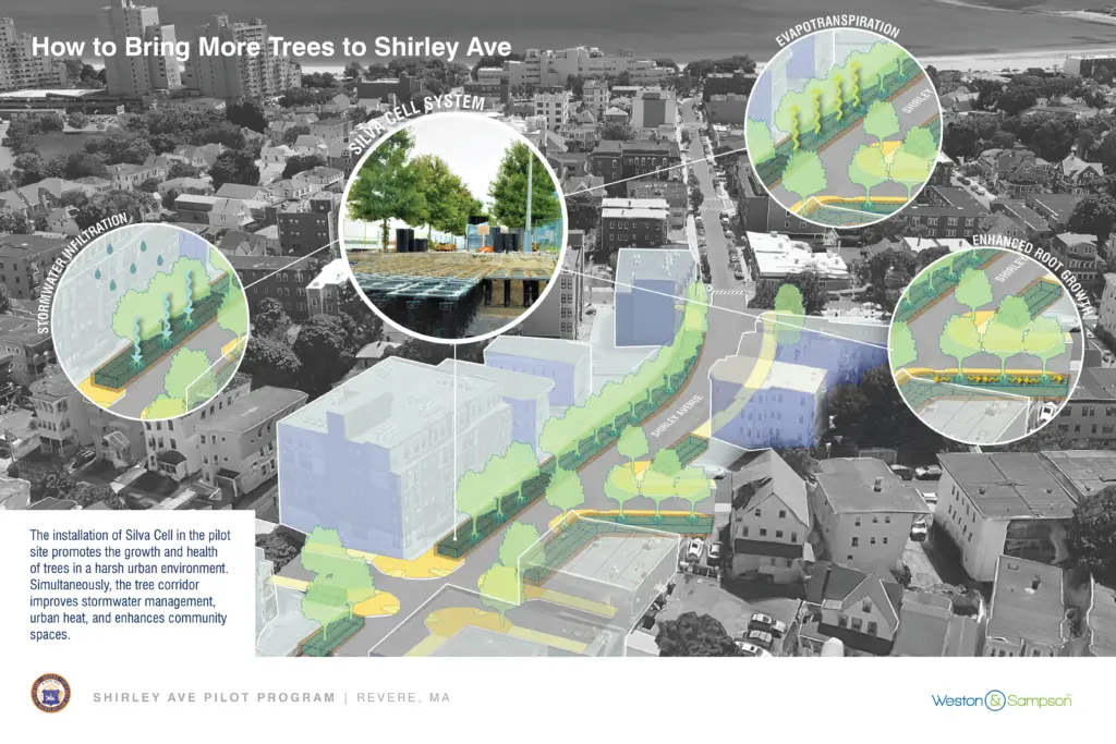 Rendering that shows tree growth in urban environments improving stormwater management, urban heat and enhancing community spaces. 
